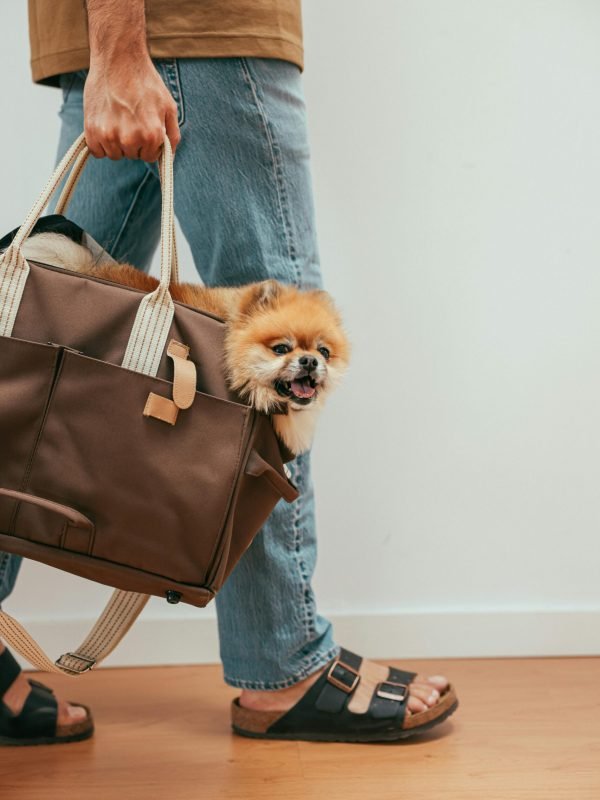 pexels-cup-of-couple-8473654